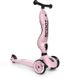 Scoot & Ride Highwaykick 1 самокат и самокат 2в1 Rose (6376560) 6376560 фото 3