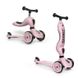 Scoot & Ride Highwaykick 1 ride-on and scooter 2in1 Rose (6376560) 6376560 фото 1